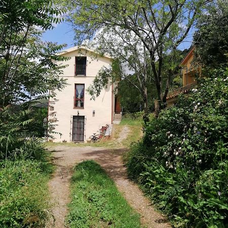 Stellaria Casa Vacanze In Montagna Panorama Stupendo Sardegna Seùlo 外观 照片