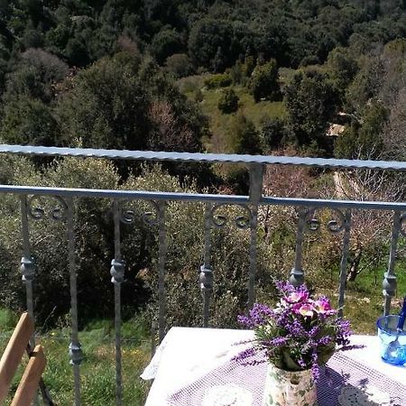Stellaria Casa Vacanze In Montagna Panorama Stupendo Sardegna Seùlo 外观 照片