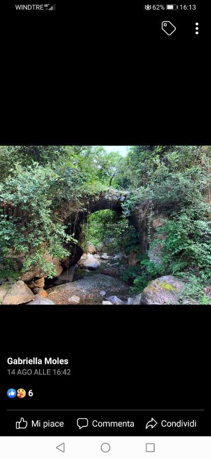 Stellaria Casa Vacanze In Montagna Panorama Stupendo Sardegna Seùlo 外观 照片