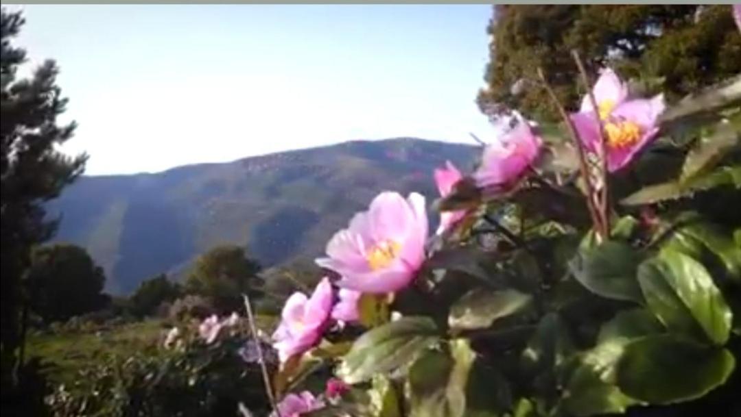 Stellaria Casa Vacanze In Montagna Panorama Stupendo Sardegna Seùlo 外观 照片