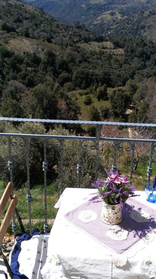 Stellaria Casa Vacanze In Montagna Panorama Stupendo Sardegna Seùlo 外观 照片