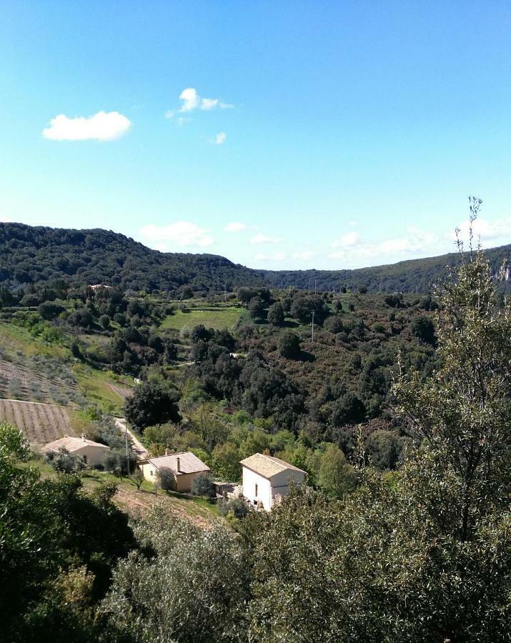 Stellaria Casa Vacanze In Montagna Panorama Stupendo Sardegna Seùlo 外观 照片
