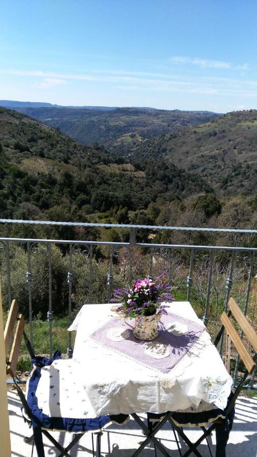 Stellaria Casa Vacanze In Montagna Panorama Stupendo Sardegna Seùlo 外观 照片