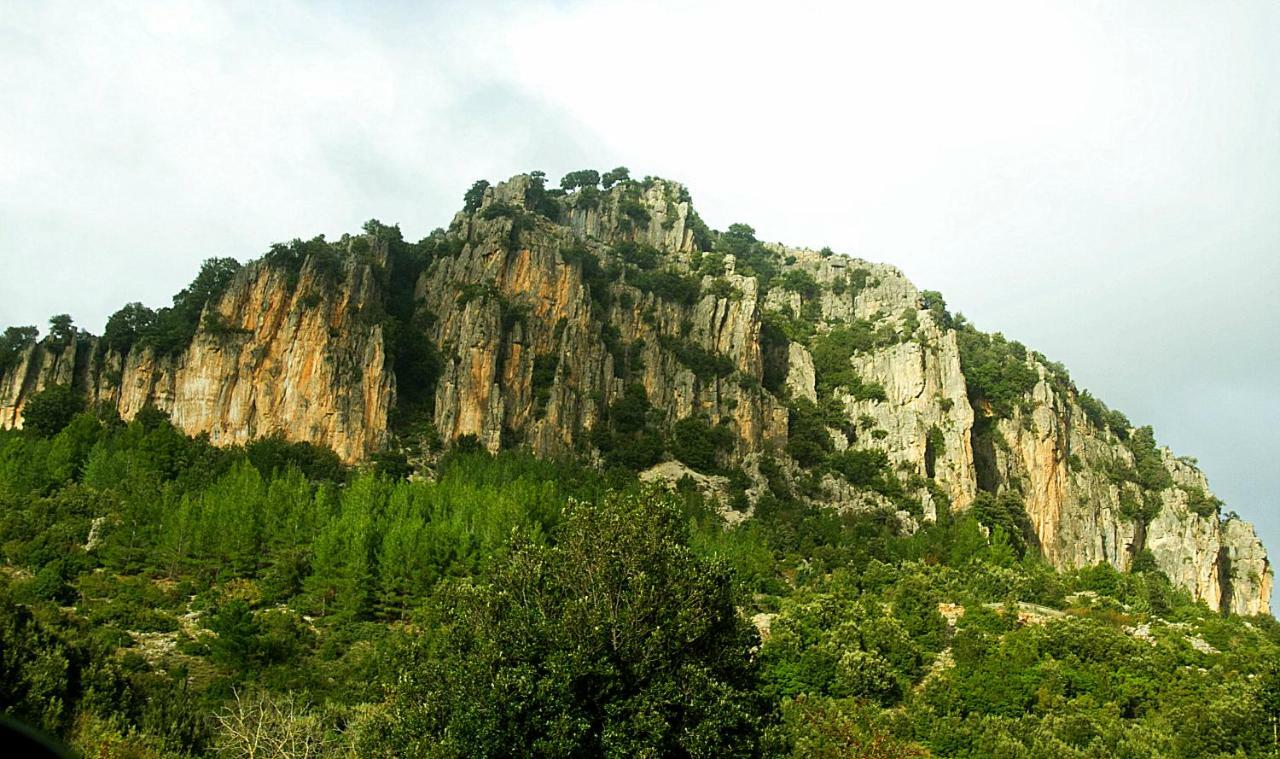 Stellaria Casa Vacanze In Montagna Panorama Stupendo Sardegna Seùlo 外观 照片