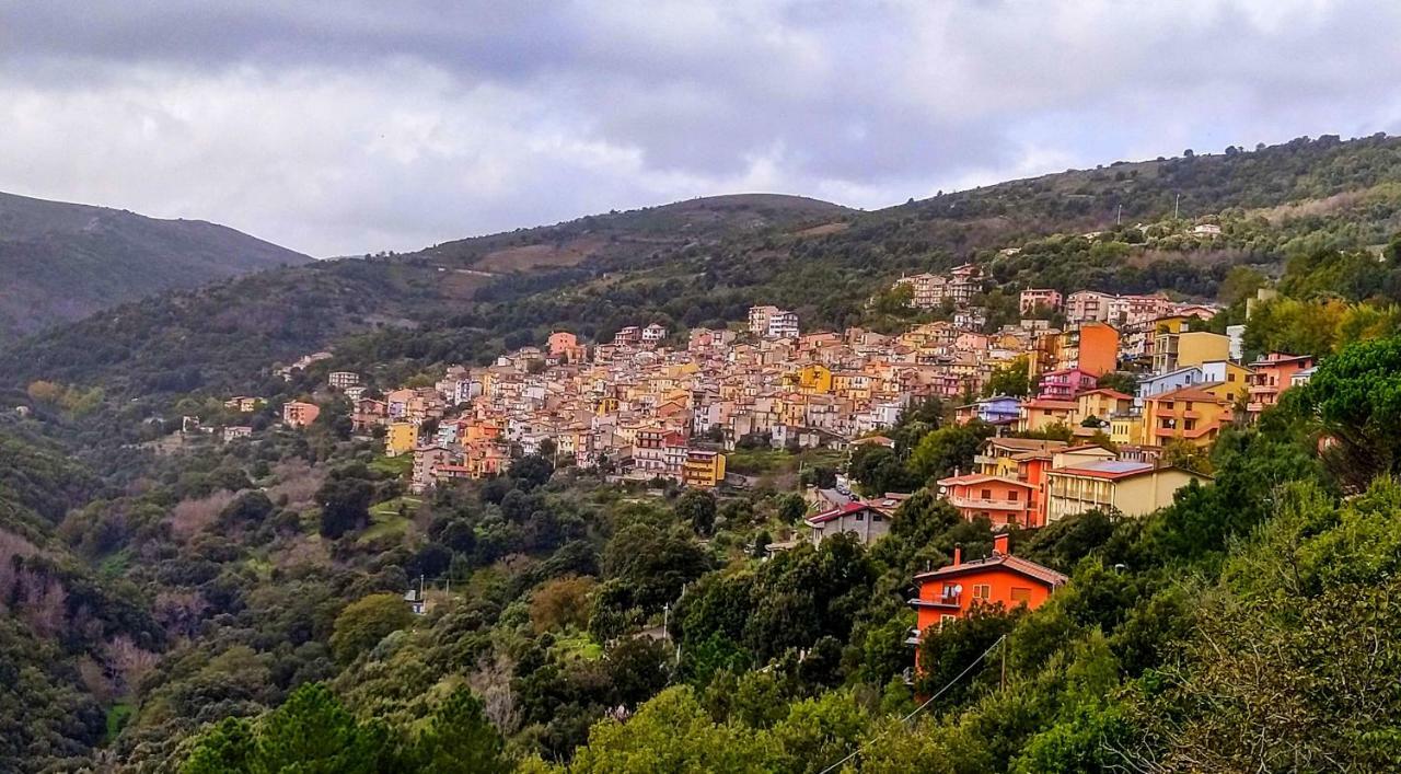Stellaria Casa Vacanze In Montagna Panorama Stupendo Sardegna Seùlo 外观 照片